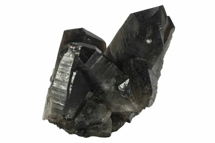 Dark Smoky Quartz Crystal Cluster - Brazil #234071